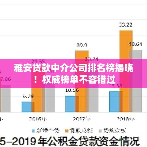 雅安貸款中介公司排名榜揭曉！權威榜單不容錯過