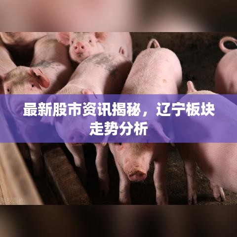 最新股市資訊揭秘，遼寧板塊走勢分析