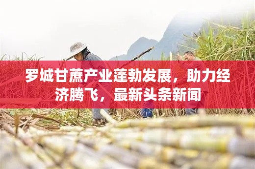 羅城甘蔗產(chǎn)業(yè)蓬勃發(fā)展，助力經(jīng)濟(jì)騰飛，最新頭條新聞