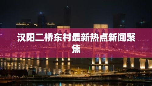 漢陽(yáng)二橋東村最新熱點(diǎn)新聞聚焦
