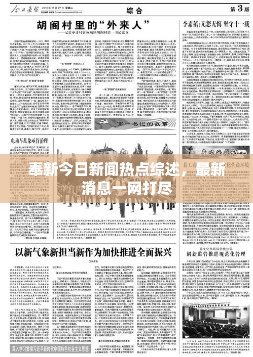 奉新今日新聞熱點(diǎn)綜述，最新消息一網(wǎng)打盡