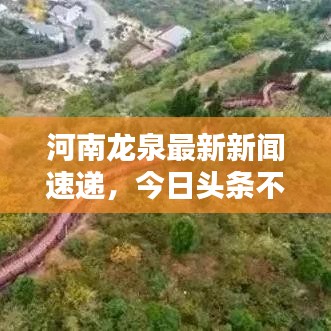 河南龍泉最新新聞速遞，今日頭條不容錯過！