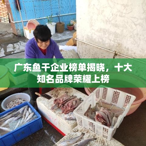 廣東魚干企業(yè)榜單揭曉，十大知名品牌榮耀上榜