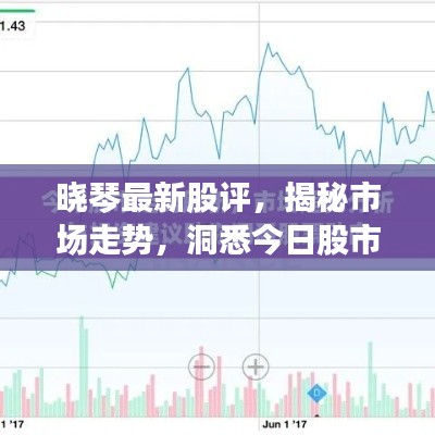 曉琴最新股評，揭秘市場走勢，洞悉今日股市動態(tài)