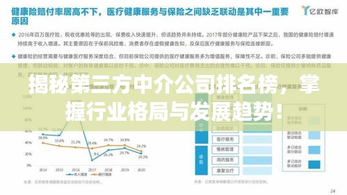 揭秘第三方中介公司排名榜，掌握行業(yè)格局與發(fā)展趨勢(shì)！