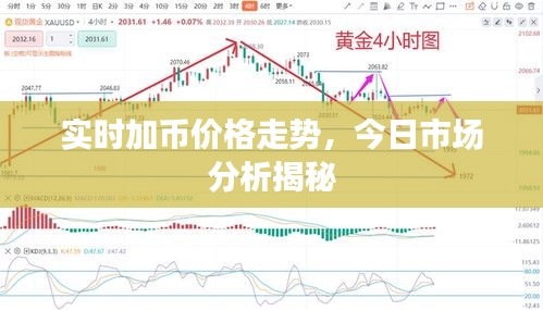 實時加幣價格走勢，今日市場分析揭秘