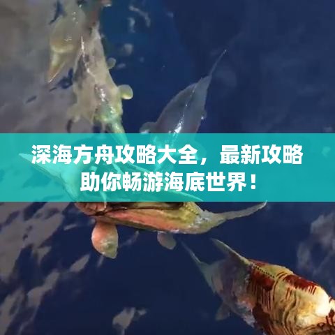 深海方舟攻略大全，最新攻略助你暢游海底世界！
