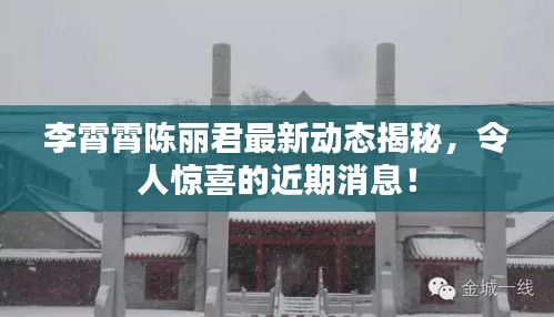 李霄霄陳麗君最新動態(tài)揭秘，令人驚喜的近期消息！