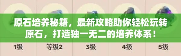 原石培養(yǎng)秘籍，最新攻略助你輕松玩轉(zhuǎn)原石，打造獨(dú)一無二的培養(yǎng)體系！