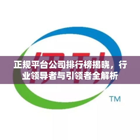 正規(guī)平臺(tái)公司排行榜揭曉，行業(yè)領(lǐng)導(dǎo)者與引領(lǐng)者全解析