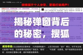 揭秘彈窗背后的秘密，搜狐信息泛濫現(xiàn)象深度探討
