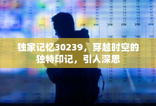 獨(dú)家記憶30239，穿越時(shí)空的獨(dú)特印記，引人深思