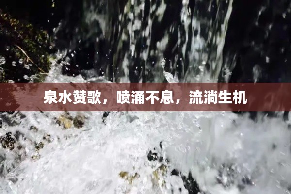 泉水贊歌，噴涌不息，流淌生機(jī)