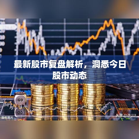 最新股市復(fù)盤解析，洞悉今日股市動態(tài)