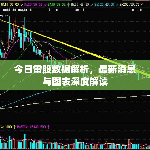 今日雷股數(shù)據(jù)解析，最新消息與圖表深度解讀