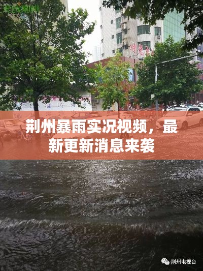 荊州暴雨實況視頻，最新更新消息來襲