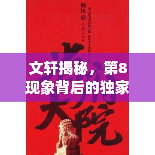 文軒揭秘，第8現(xiàn)象背后的獨家故事