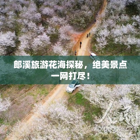 郎溪旅游花海探秘，絕美景點(diǎn)一網(wǎng)打盡！