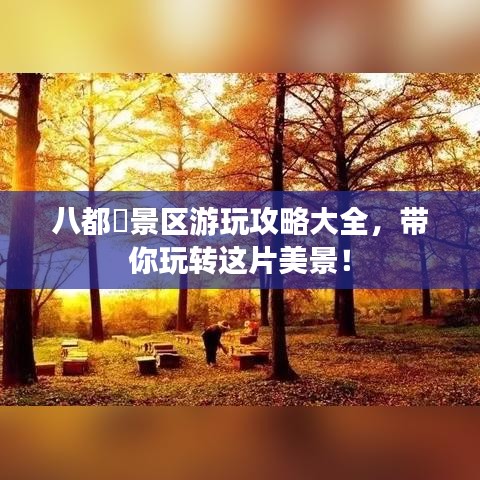 八都岕景區(qū)游玩攻略大全，帶你玩轉(zhuǎn)這片美景！