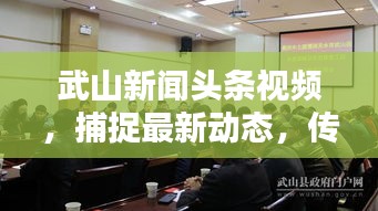 武山新聞?lì)^條視頻，捕捉最新動(dòng)態(tài)，傳遞地方聲音，盡在掌握！