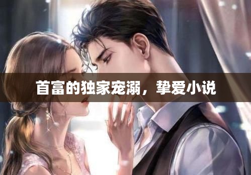 首富的獨家寵溺，摯愛小說