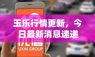 玉樂行情更新，今日最新消息速遞