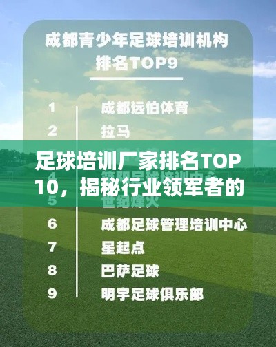 足球培訓(xùn)廠家排名TOP10，揭秘行業(yè)領(lǐng)軍者的秘密！