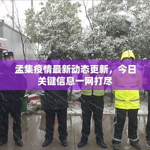 孟集疫情最新動態(tài)更新，今日關(guān)鍵信息一網(wǎng)打盡