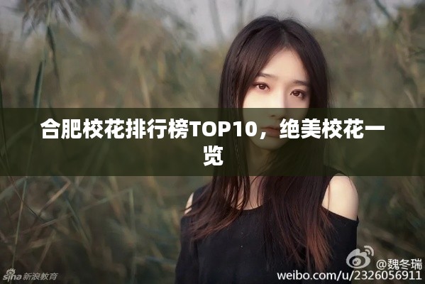 合肥?；ㄅ判邪馮OP10，絕美?；ㄒ挥[