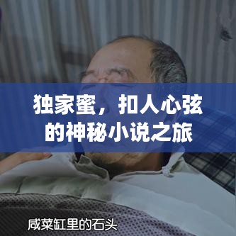 獨(dú)家蜜，扣人心弦的神秘小說之旅