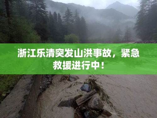 浙江樂清突發(fā)山洪事故，緊急救援進(jìn)行中！