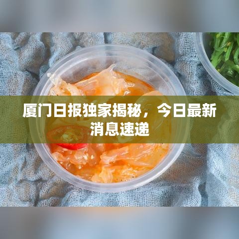 廈門(mén)日?qǐng)?bào)獨(dú)家揭秘，今日最新消息速遞
