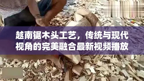 越南鋸木頭工藝，傳統(tǒng)與現(xiàn)代視角的完美融合最新視頻播放