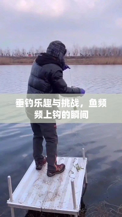 垂釣樂趣與挑戰(zhàn)，魚頻頻上鉤的瞬間