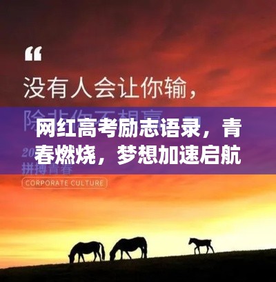 網(wǎng)紅高考勵(lì)志語(yǔ)錄，青春燃燒，夢(mèng)想加速啟航