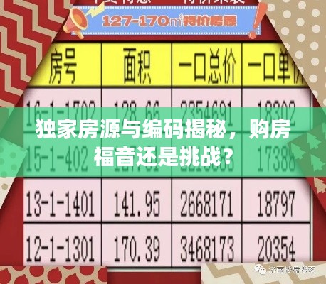 獨家房源與編碼揭秘，購房福音還是挑戰(zhàn)？