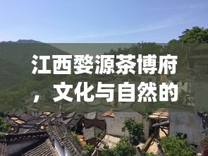 江西婺源茶博府，文化與自然的和諧交融，驚艷之旅！
