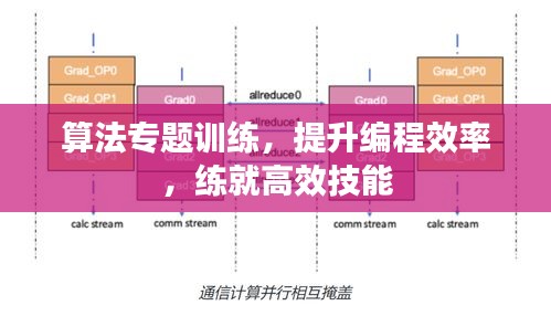 算法專題訓(xùn)練，提升編程效率，練就高效技能