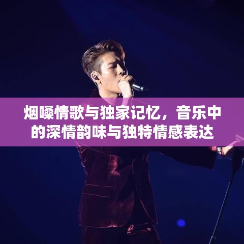 煙嗓情歌與獨(dú)家記憶，音樂(lè)中的深情韻味與獨(dú)特情感表達(dá)