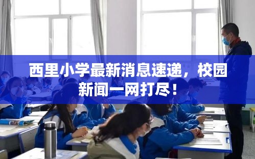 西里小學(xué)最新消息速遞，校園新聞一網(wǎng)打盡！