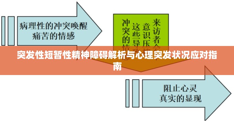 突發(fā)性短暫性精神障礙解析與心理突發(fā)狀況應(yīng)對指南