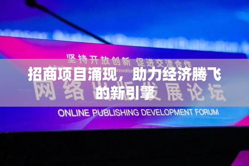 招商項(xiàng)目涌現(xiàn)，助力經(jīng)濟(jì)騰飛的新引擎