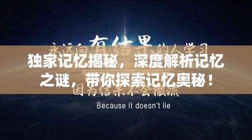 獨家記憶揭秘，深度解析記憶之謎，帶你探索記憶奧秘！