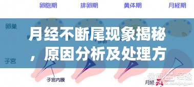 貴耳賤目