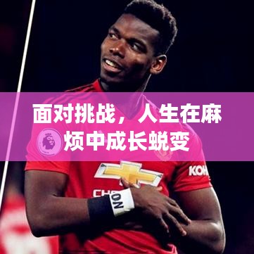 面對(duì)挑戰(zhàn)，人生在麻煩中成長(zhǎng)蛻變
