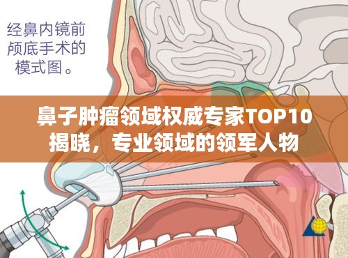 鼻子腫瘤領(lǐng)域權(quán)威專家TOP10揭曉，專業(yè)領(lǐng)域的領(lǐng)軍人物