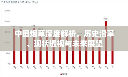 中國煙草深度解析，歷史沿革、現(xiàn)狀透視與未來展望