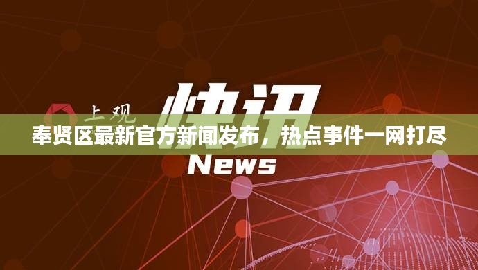 奉賢區(qū)最新官方新聞發(fā)布，熱點事件一網(wǎng)打盡