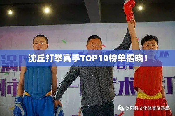 沈丘打拳高手TOP10榜單揭曉！