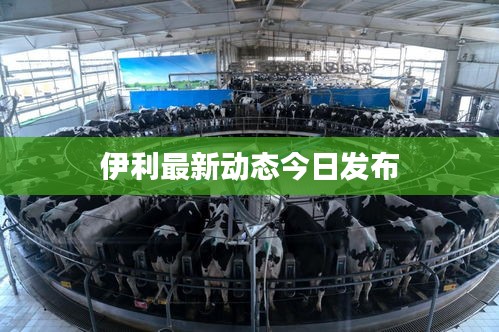 伊利最新動態(tài)今日發(fā)布